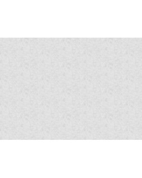 R161113 Обои Grandeco (Originale) (1*6) 10,05х1,06 винил на флизелине-foto2