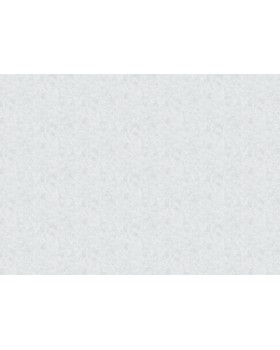 R161132 Обои Grandeco (Originale) (1*6) 10,05х1,06 винил на флизелине-foto2