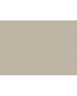 15542 Обои Zambaiti (Mini Trend) (1*6) 10,05x0,53 винил на флизелине-foto2