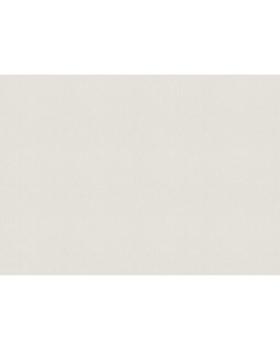 15548 Обои Zambaiti (Mini Trend) (1*6) 10,05x0,53 винил на флизелине-foto2