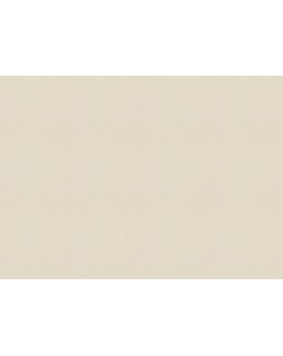 15543 Обои Zambaiti (Mini Trend) (1*6) 10,05x0,53 винил на флизелине-foto2