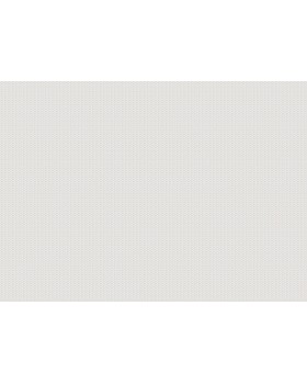 15509 Обои Zambaiti (Mini Trend) (1*6) 10,05x0,53 винил на флизелине-foto2