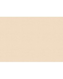 15512 Обои Zambaiti (Mini Trend) (1*6) 10,05x0,53 винил на флизелине-foto2