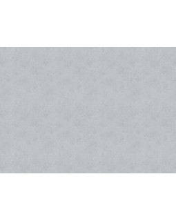 33514 Обои Marburg (Solid Contract - Newton) (1*4) 10,80x1,06 винил на флизелине-foto2