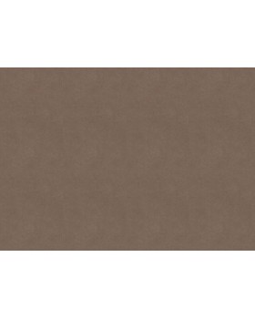 33520 Обои Marburg (Solid Contract - Newton) (1*4) 10,80x1,06 винил на флизелине-foto2