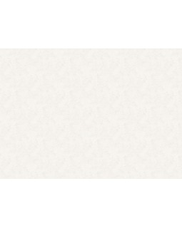 A75501 Обои Grandeco (Sentiment) (1*6) 10,05х1,06 винил на флизелине-foto2