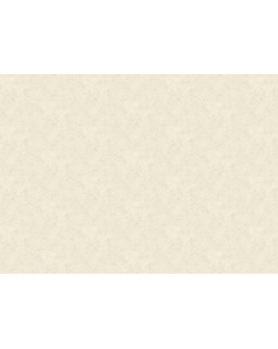 A75524 Обои Grandeco (Sentiment) (1*6) 10,05х1,06 винил на флизелине-foto2