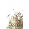 35797 Панно Marburg (Boho) (1*6) 2,70x1,59 винил на флизелине