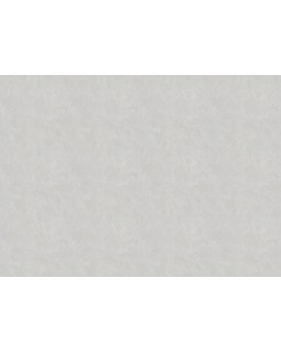 R 25502 Обои Fipar (Modelli di Luce) (1*4) 10,05х1,06 винил на флизелине-foto2