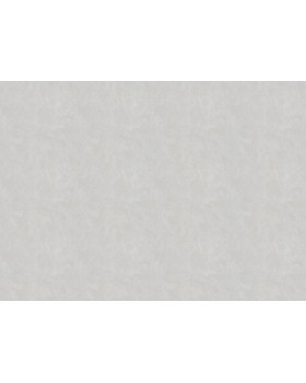 R 25502 Обои Fipar (Modelli di Luce) (1*4) 10,05х1,06 винил на флизелине-foto2