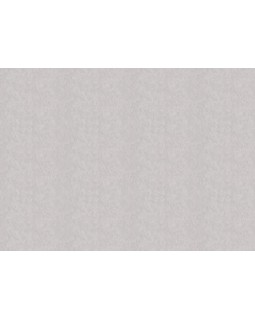 R 25503 Обои Fipar (Modelli di Luce) (1*4) 10,05х1,06 винил на флизелине-foto2