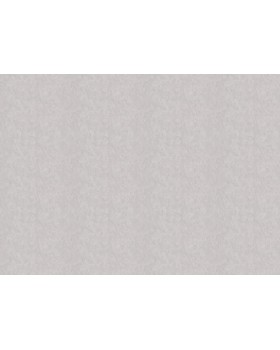 R 25503 Обои Fipar (Modelli di Luce) (1*4) 10,05х1,06 винил на флизелине-foto2