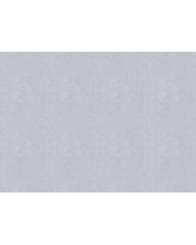 R 25504 Обои Fipar (Modelli di Luce) (1*4) 10,05х1,06 винил на флизелине-foto2