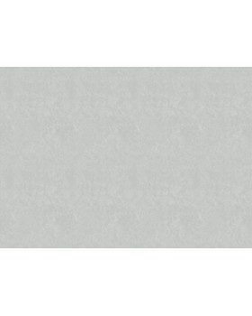 R 25505 Обои Fipar (Modelli di Luce) (1*4) 10,05х1,06 винил на флизелине-foto2