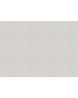 R 25507 Обои Fipar (Modelli di Luce) (1*4) 10,05х1,06 винил на флизелине-foto2