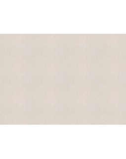 R 25510 Обои Fipar (Modelli di Luce) (1*4) 10,05х1,06 винил на флизелине-foto2