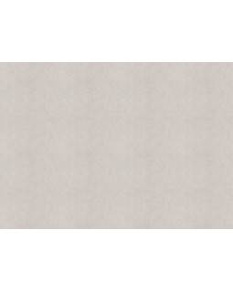 R 25511 Обои Fipar (Modelli di Luce) (1*4) 10,05х1,06 винил на флизелине-foto2