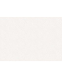 R173027 Обои Grandeco (Artist) (1*6) 10,05х1,06 винил на флизелине-foto2