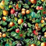 35634 Обои Marburg (Gloockler Pompoos Provence) (1*12) 10,05x0,53 винил на флизелине