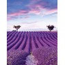 35643 Панно Marburg (Gloockler Pompoos Provence) (1*6) 2,70x2,12 винил на флизелине