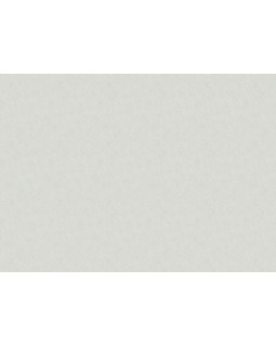 36122 Обои Marburg (Melange) (1*6) 10,05x1,06 винил на флизелине-foto2