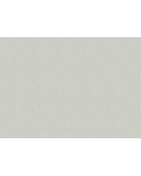 36124 Обои Marburg (Melange) (1*6) 10,05x1,06 винил на флизелине-foto2