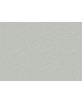 36125 Обои Marburg (Melange) (1*6) 10,05x1,06 винил на флизелине-foto2