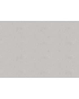 HY 1005 Обои Grandeco (Hype) (1*6) 10,05х1,06  винил на флизелине-foto2