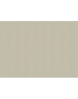 Z57707 Обои Zambaiti (Architexture 2) (1*6) 10,05x0,53 винил на флизелине-foto2