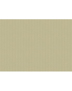 Z57721 Обои Zambaiti (Architexture 2) (1*6) 10,05x0,53 винил на флизелине-foto2