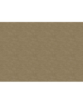 Z57744 Обои Zambaiti (Architexture 2) (1*6) 10,05x0,53 винил на флизелине-foto2