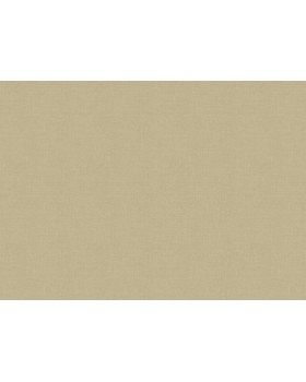 Z57758 Обои Zambaiti (Architexture 2) (1*6) 10,05x0,53 винил на флизелине-foto2