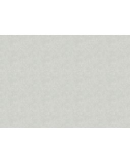 36062 Обои Marburg (Casa Vita) (1*6) 10,05x1,06 винил на флизелине-foto2