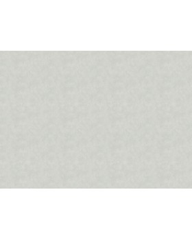 36062 Обои Marburg (Casa Vita) (1*6) 10,05x1,06 винил на флизелине-foto2