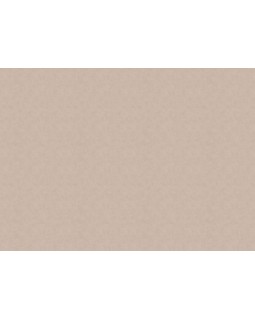 32341 Обои Marburg (Casa Vita) (1*6) 10,05x1,06 винил на флизелине-foto2