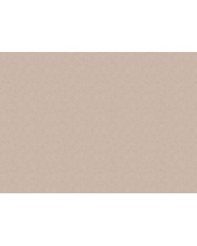 32341 Обои Marburg (Casa Vita) (1*6) 10,05x1,06 винил на флизелине-foto2