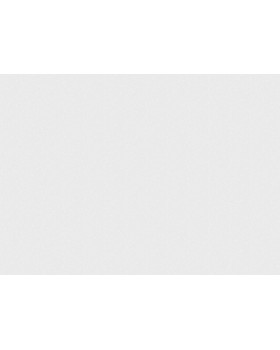 R177113 Обои Grandeco (Way) (1*6) 10,05х1,06  винил на флизелине-foto2