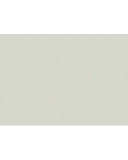 98801 Обои Marburg (Touch) (1*6) 10,05x1,06 винил на флизелине-foto3