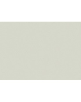 98801 Обои Marburg (Touch) (1*6) 10,05x1,06 винил на флизелине-foto3