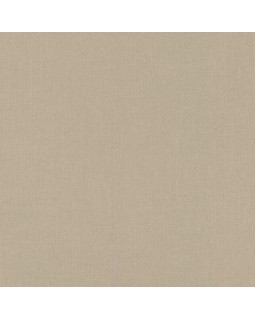423921 Обои Rasch (Allegretto) (1*12) 10,05x0,53 винил на флизелине