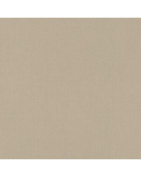 423921 Обои Rasch (Allegretto) (1*12) 10,05x0,53 винил на флизелине