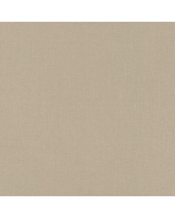 423921 Обои Rasch (Allegretto) (1*12) 10,05x0,53 винил на флизелине