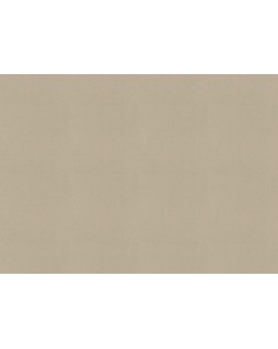 423921 Обои Rasch (Allegretto) (1*12) 10,05x0,53 винил на флизелине-foto2