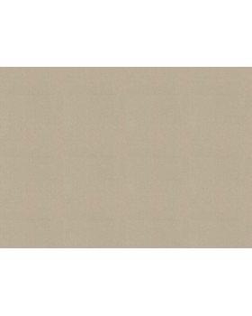 423921 Обои Rasch (Allegretto) (1*12) 10,05x0,53 винил на флизелине-foto2