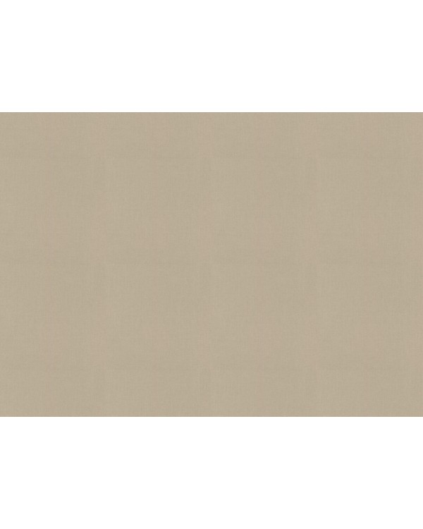 423921 Обои Rasch (Allegretto) (1*12) 10,05x0,53 винил на флизелине