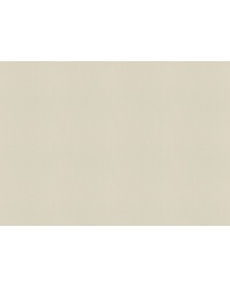 423914 Обои Rasch (Allegretto) (1*12) 10,05x0,53 винил на флизелине-foto2