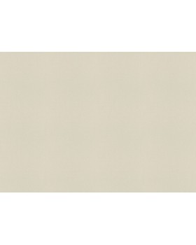 423914 Обои Rasch (Allegretto) (1*12) 10,05x0,53 винил на флизелине-foto2