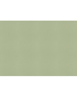 423938 Обои Rasch (Allegretto) (1*12) 10,05x0,53 винил на флизелине-foto2