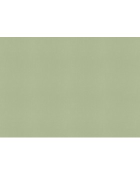 423938 Обои Rasch (Allegretto) (1*12) 10,05x0,53 винил на флизелине-foto2