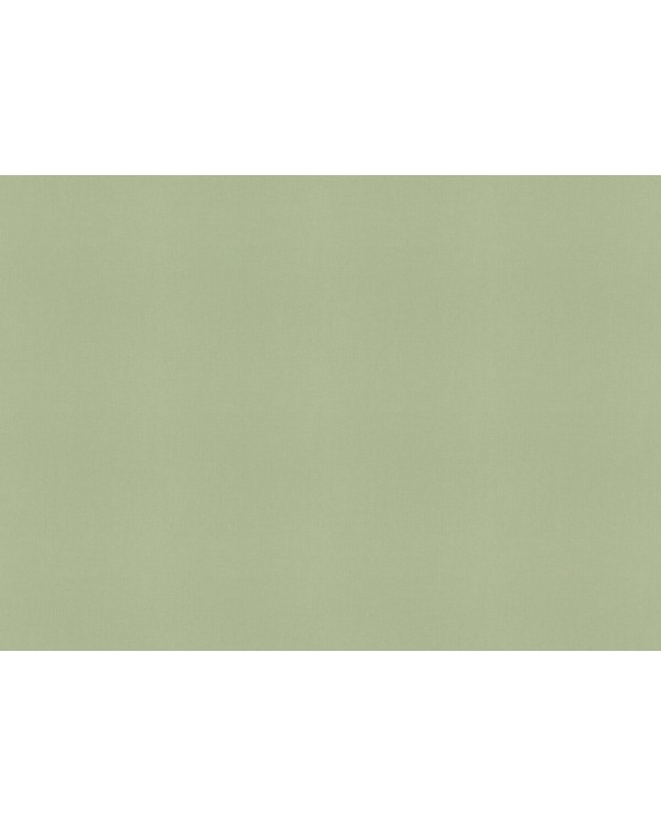 423938 Обои Rasch (Allegretto) (1*12) 10,05x0,53 винил на флизелине